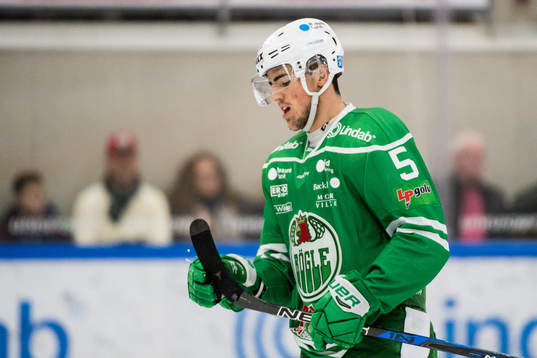 Rögles Alen Bibic deppar