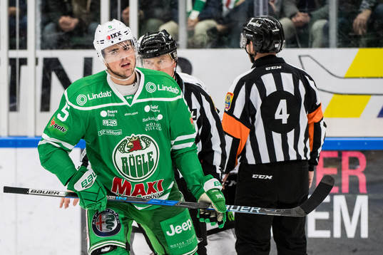 Rögles Alen Bibic deppar