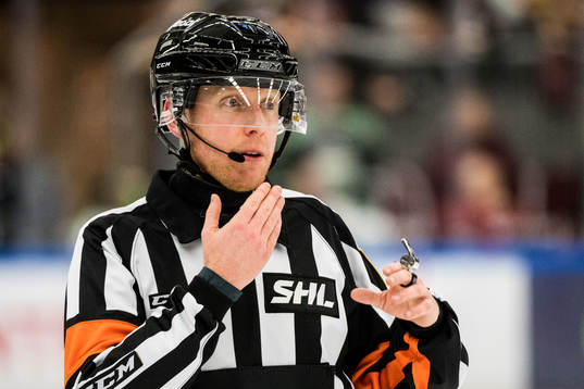 Domare Mikael Holm