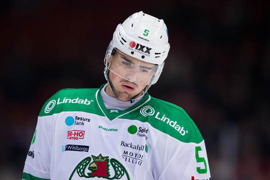 Rögles Alen Bibic deppar