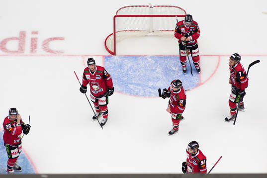 Malmö Redhawks spelare deppar
