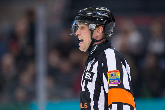 Domare Morgan Johansson