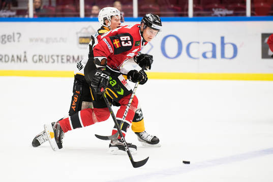 Malmö Redhawks Fredrik Händemark