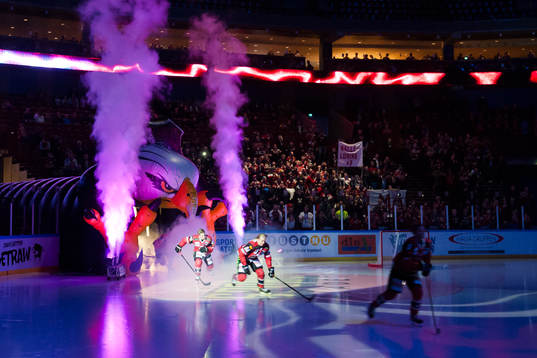 Malmö Redhawks spelare gör entré