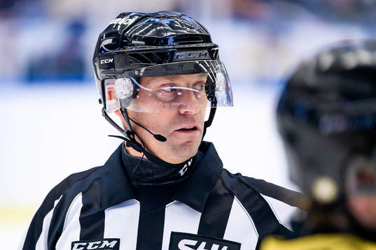 Domare Sören Persson