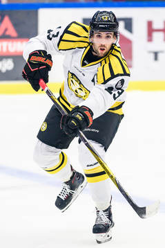 Brynäs Ryan Gunderson