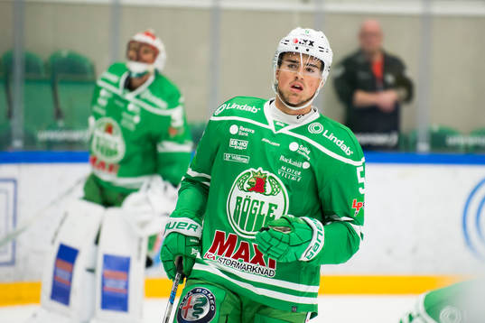 Rögles Alen Bibic