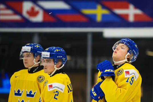 Sveriges Alexander Nylander spottar