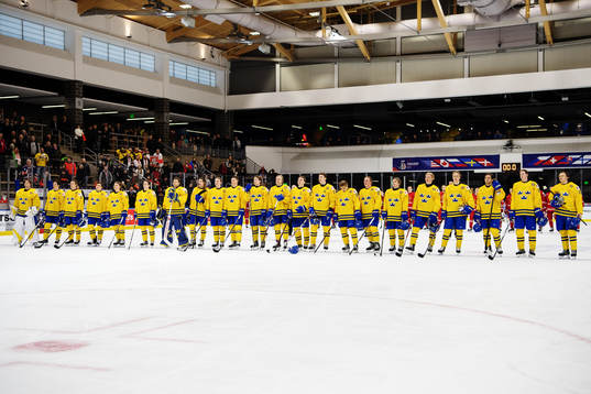 Sveriges spelare står uppställda