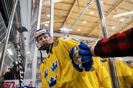 Sveriges Rasmus Dahlin lämnar plan