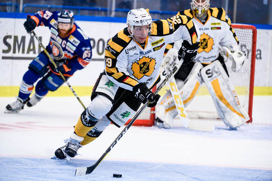 Skellefteås Matt Anderson