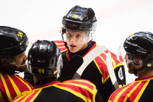 Brynäs Daniel Mannberg