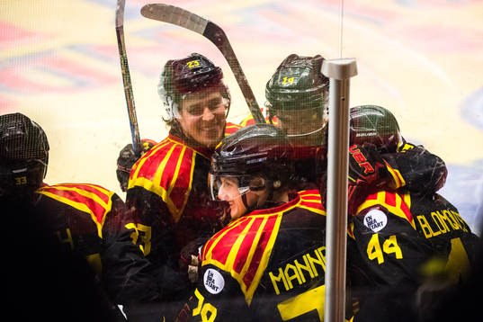 Brynäs spelare jublar