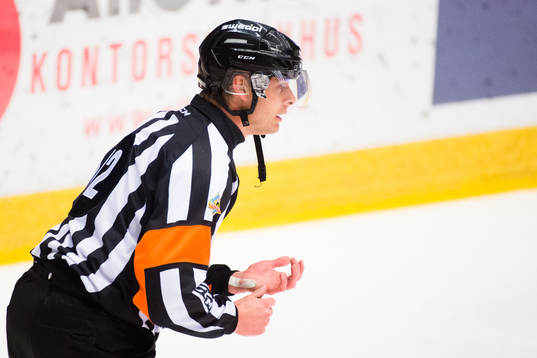Domare Mikael Andersson