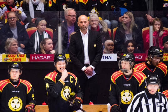 Brynäs tränare Tommy Sjödin