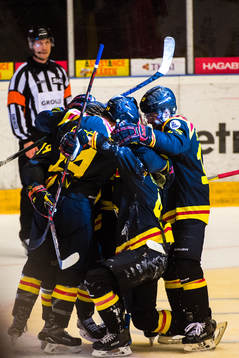 Brynäs spelare jublar