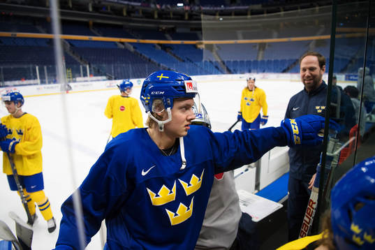 Alexander Nylander lämnar Sveriges träning