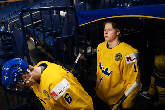Linus Högberg och Fredrik Karlström