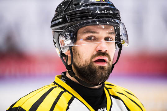 Brynäs Johan Alcén  deppar