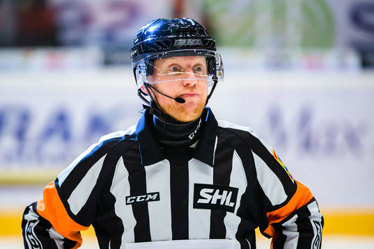 Domare Mikael Holm
