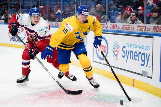 Tjeckiens Libor Hajek och Sveriges Alexander Nylander