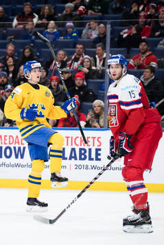 Sveriges Elias Pettersson jublar samtidigt som Tjeckiens