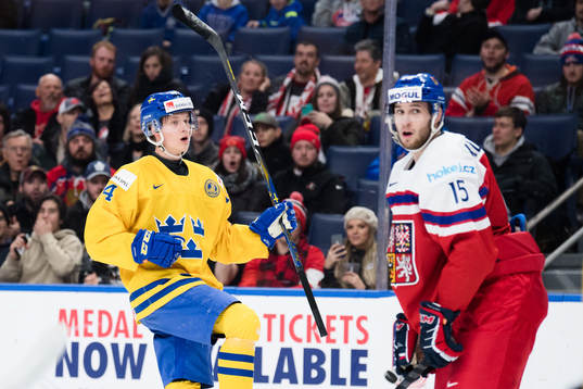 Sveriges Elias Pettersson jublar samtidigt som Tjeckiens