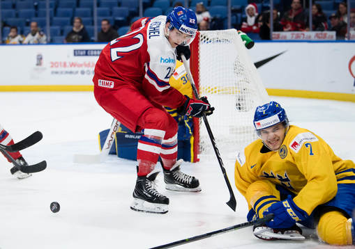 Tjeckiens Kristian Reichel och Sveriges Timothy Liljegren