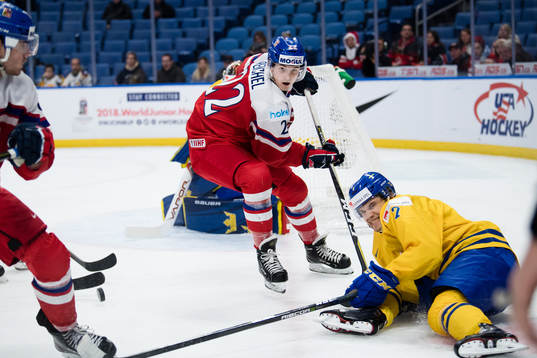 Tjeckiens Kristian Reichel och Sveriges Timothy Liljegren