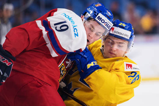 Tjeckiens Vojtech Budik och Sveriges Erik Brännström