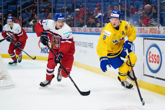 Tjeckiens Libor Hajek och Sveriges Alexander Nylander