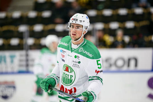 Rögles Alen Bibic