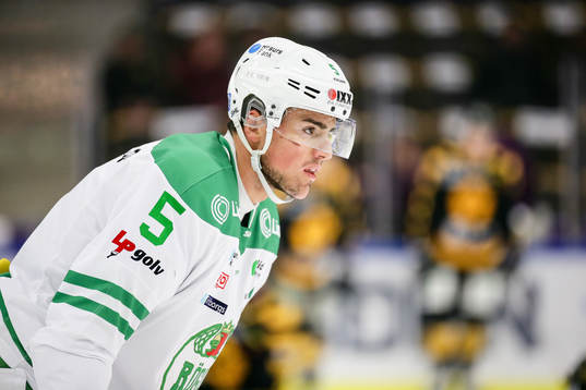 Rögles Alen Bibic