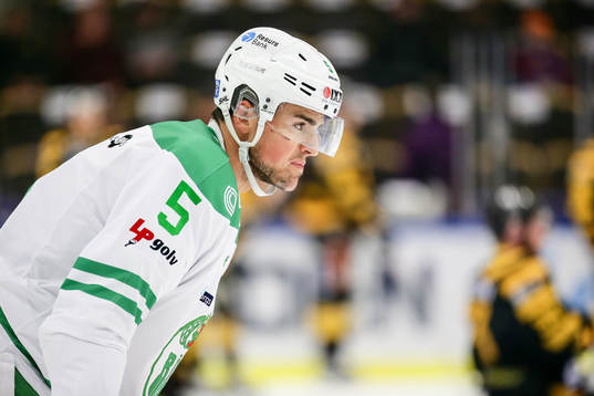 Rögles Alen Bibic