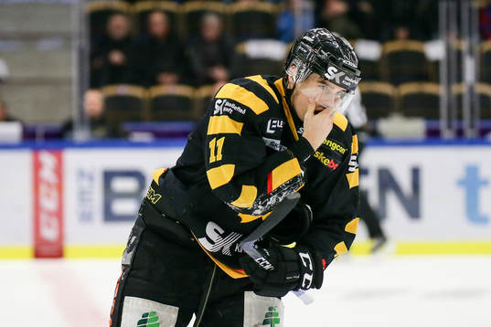 Skellefteås Henrik Hetta