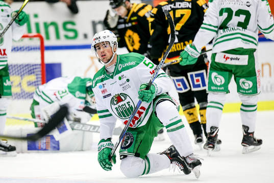 Rögles Alen Bibic deppar