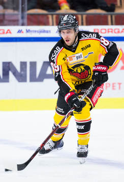 Luleås Ryan Johnston
