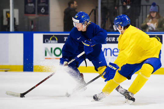 Alexander Nylander och Isac Lundeström på Sveriges