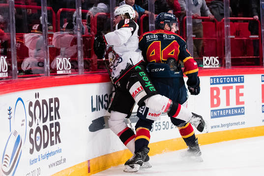 Malmö Redhawks Stefan Warg och Djurgårdens Lukas Vejdemo