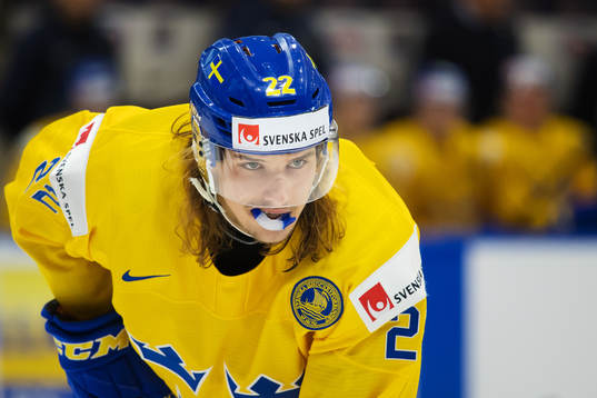 Sveriges Axel Jonsson Fjällby