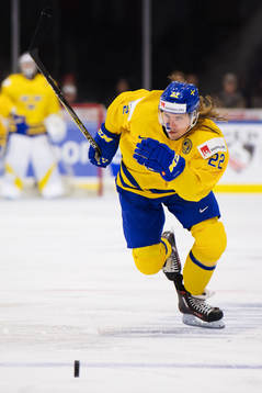 Sveriges Axel Jonsson Fjällby