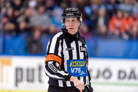 Domare Morgan Johansson