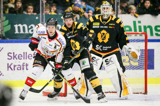 Skellefteås Michael Kostka