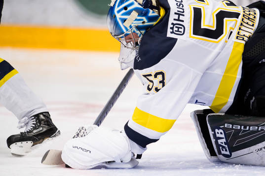 HV71 målvakt Fredrik Pettersson-Wentzel