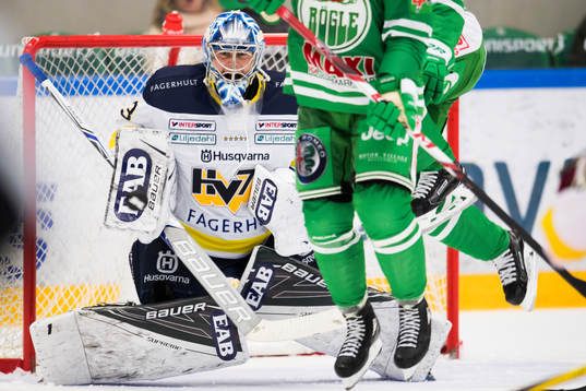 HV71 målvakt Fredrik Pettersson-Wentzel