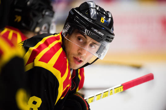 Brynäs Aaron Palushaj
