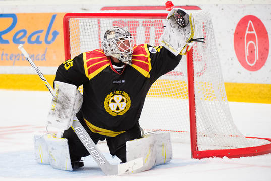 Brynäs målvakt David Rautio