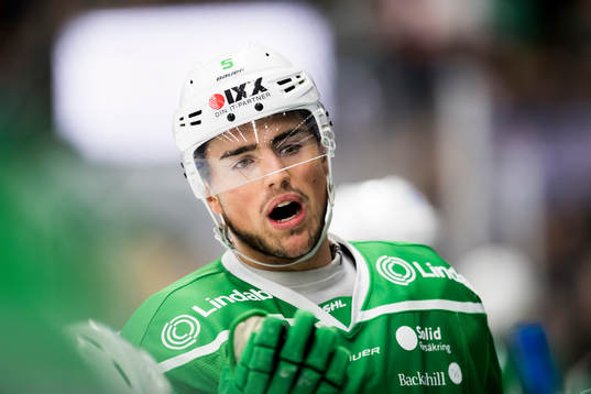 Rögles Alen Bibic