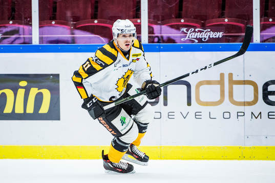 Skellefteås Henrik Hetta