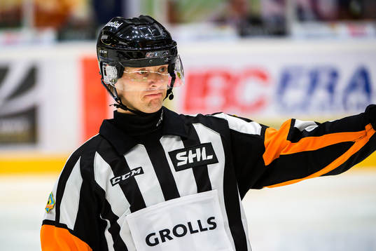 Domare Mikael Andersson